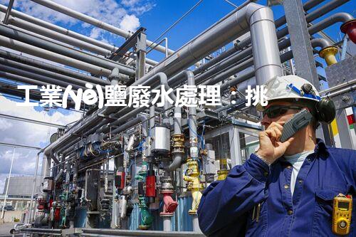 工業(yè)鹽廢水處理：挑戰(zhàn)與創(chuàng)新，誰能拯救這一生態(tài)危機(jī)？